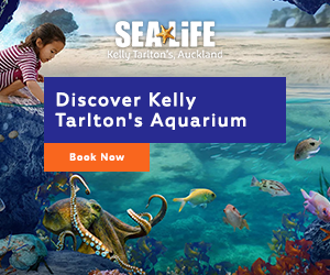 sea-life-kelly-tarltons-aquarium-review