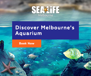 sea-life-melbourne-aquarium-review