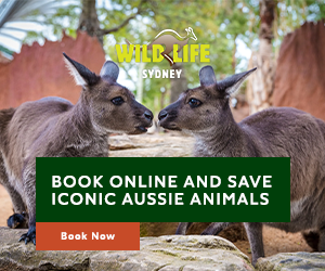 wild-life-sydney-zoo-review